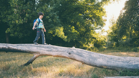 Ein Kind balanciert über einen Baumstamm